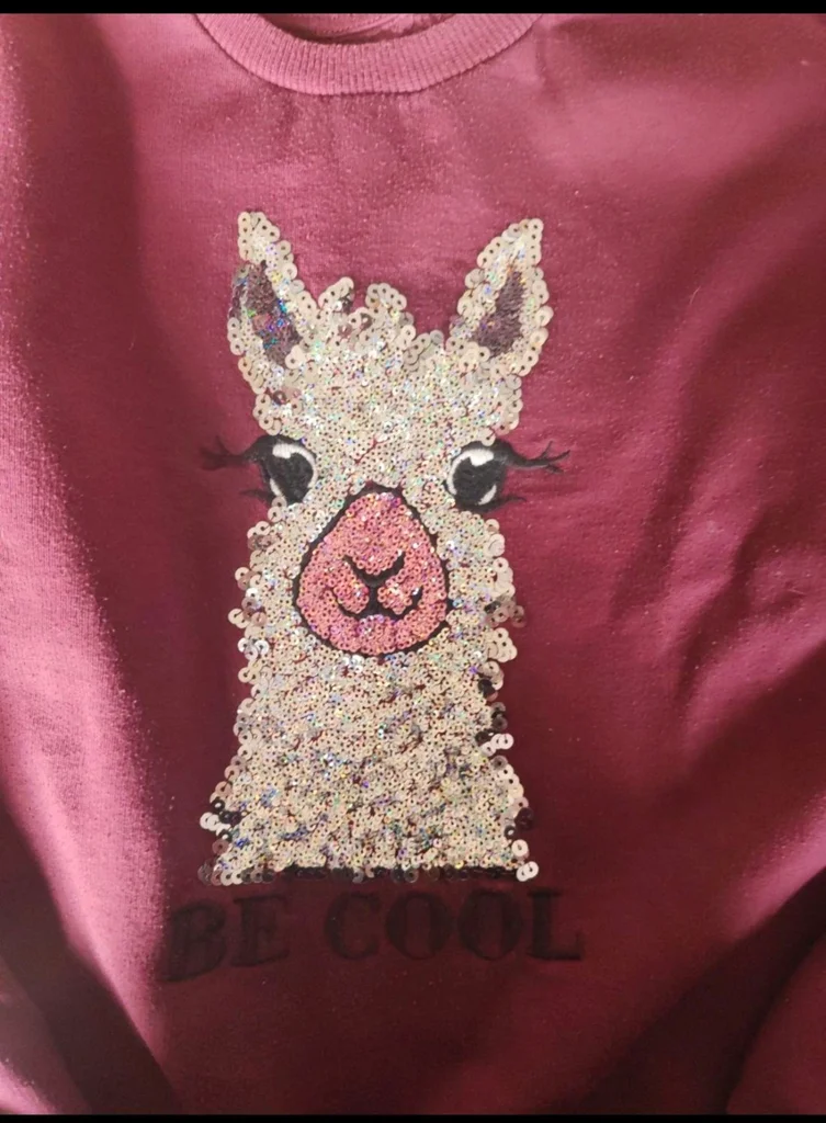 Jersey de 12 años – photo 2